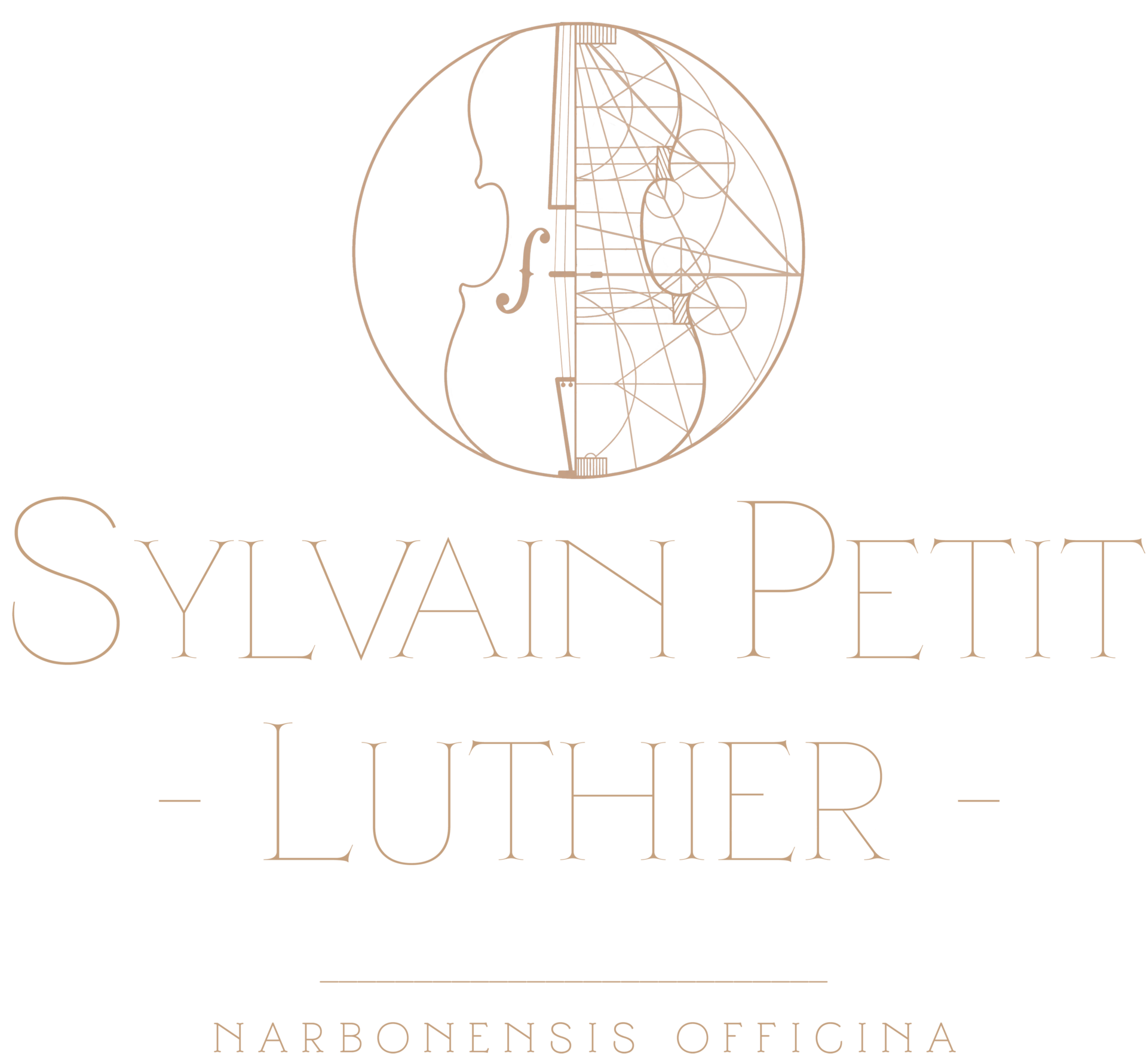 Sylvain PETIT LUTHIER